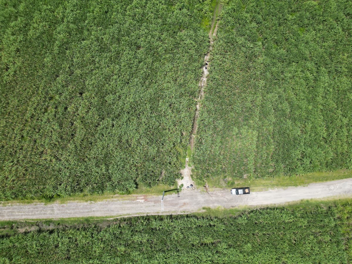 Terreno comercial de 1 manzana en Nejapa por Coca Cola - foto 1