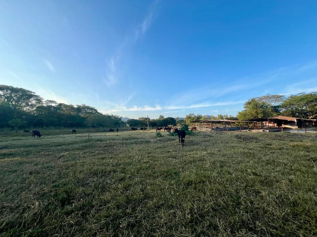 31 Manzanas en venta en El Porvenir Santa Ana - foto 1