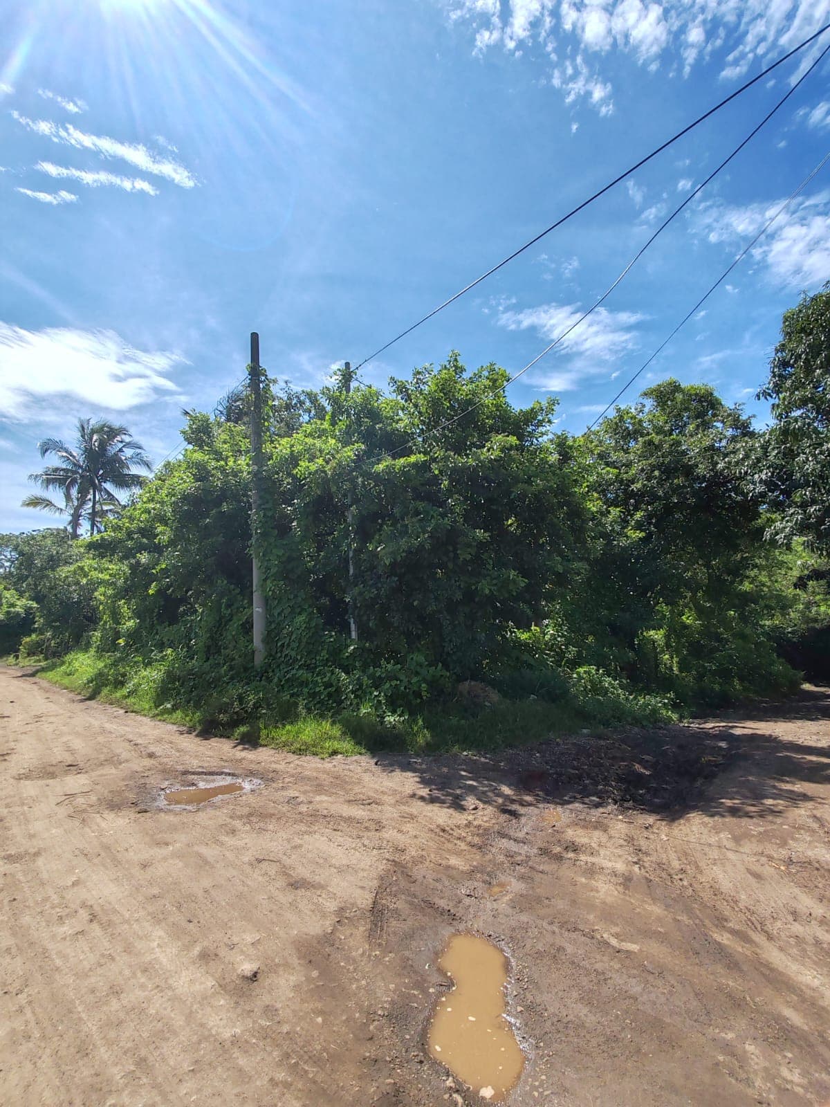 Oportunidad venta de terreno de esquina en Ciudad Arce - foto 1