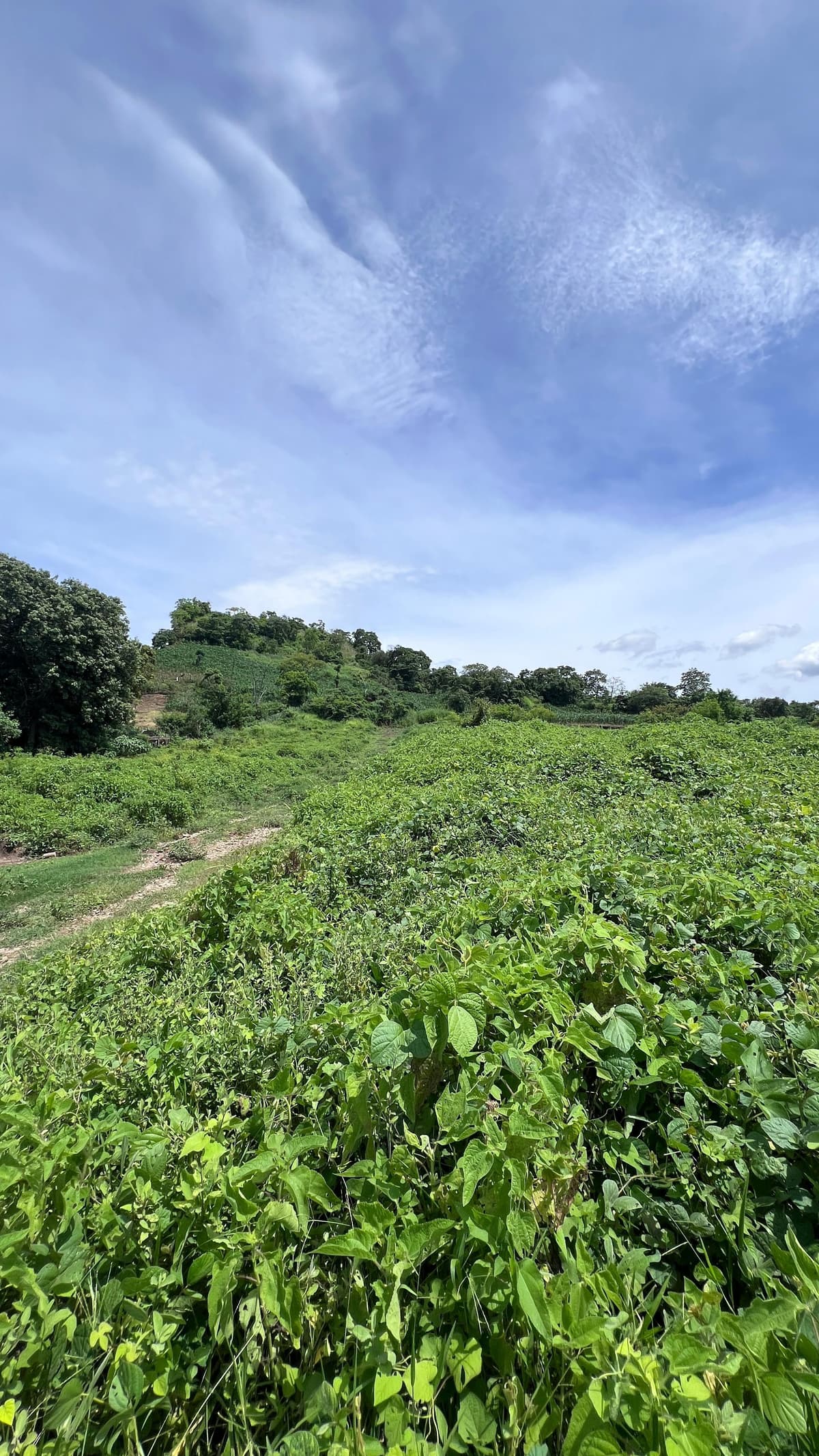 Derecho en venta de lote en Altos de Las Mercedes - foto 1