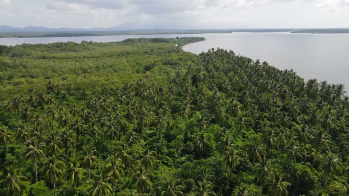 Terrenos en venta en Isla Madresal Bahía de Jiquilisco - foto 1