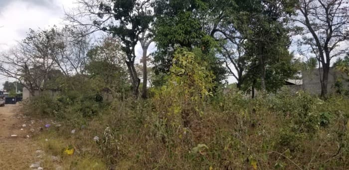 Vendo amplio terreno en El Congo Santa Ana - foto 1