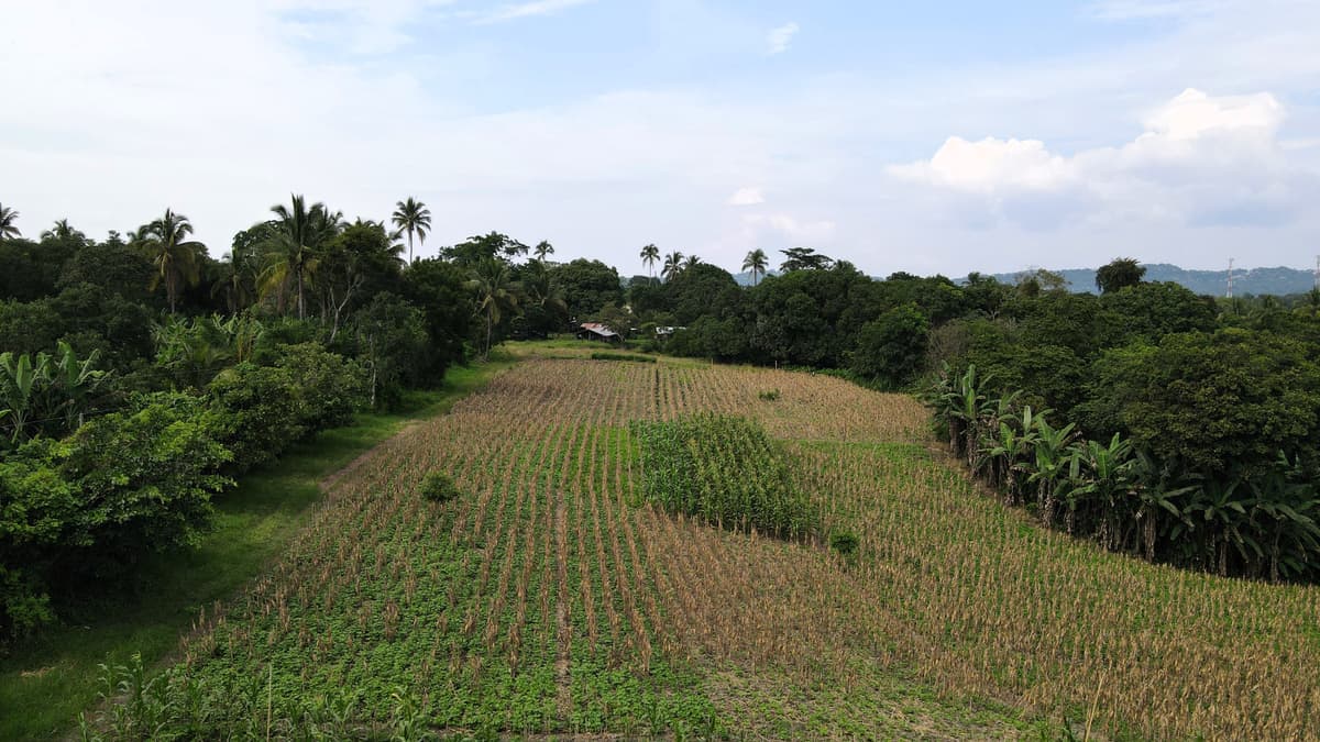 Finca en venta en Candelaria Cuscatlán - foto 1