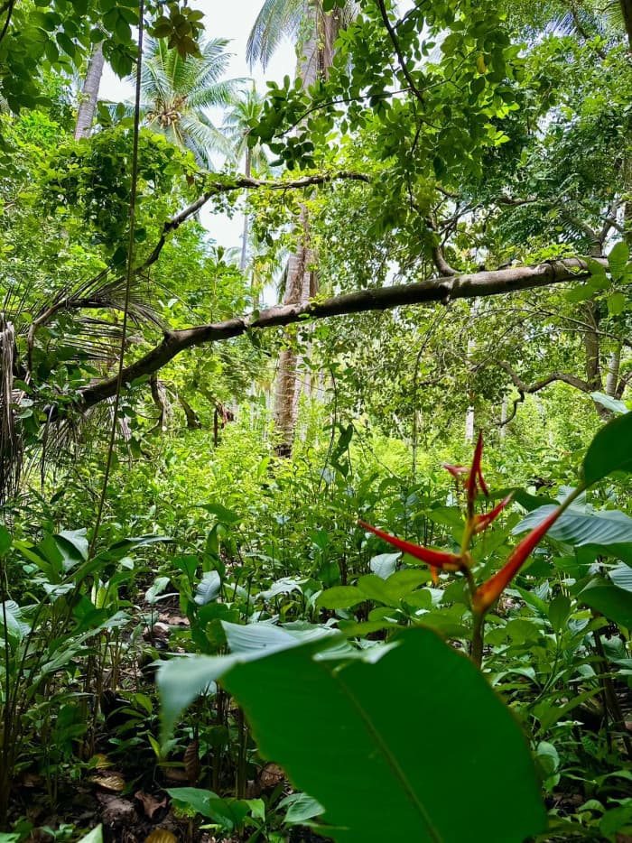 Terreno de primera fila al mar Isla Madresal Usulután - foto 1
