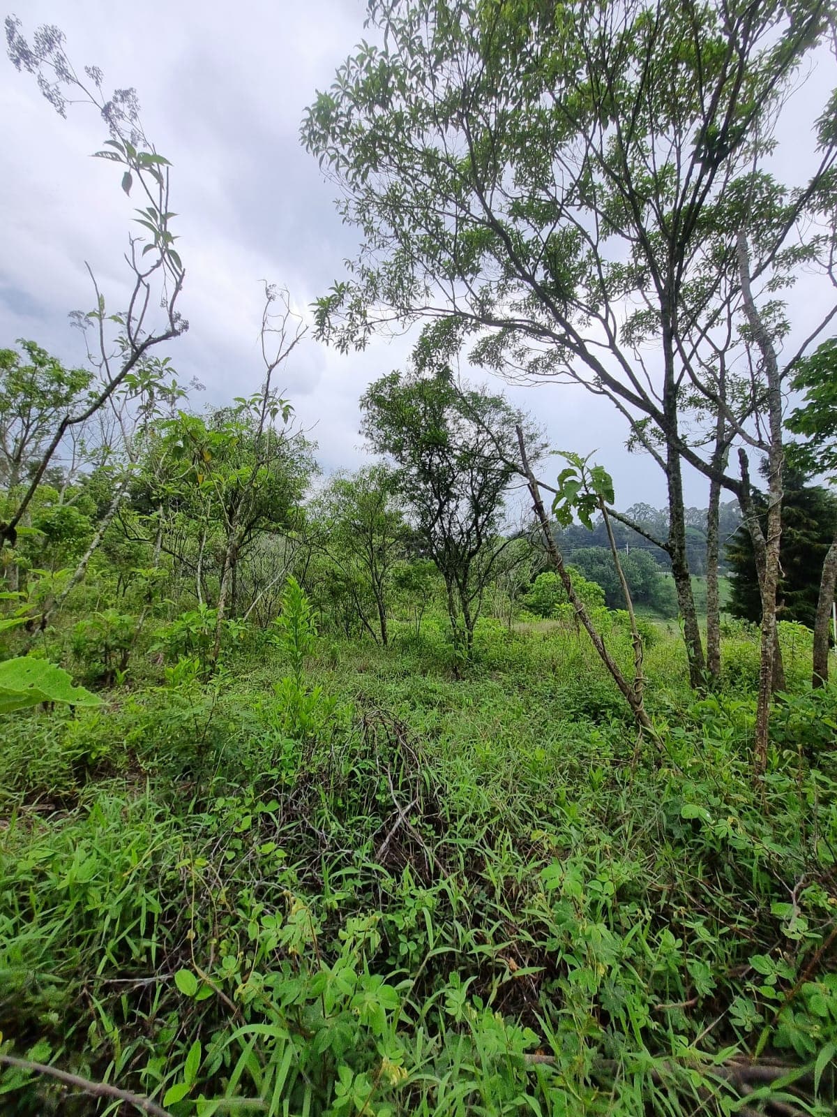 Terreno urbano en venta en Mercedes Umaña Usulután - foto 1