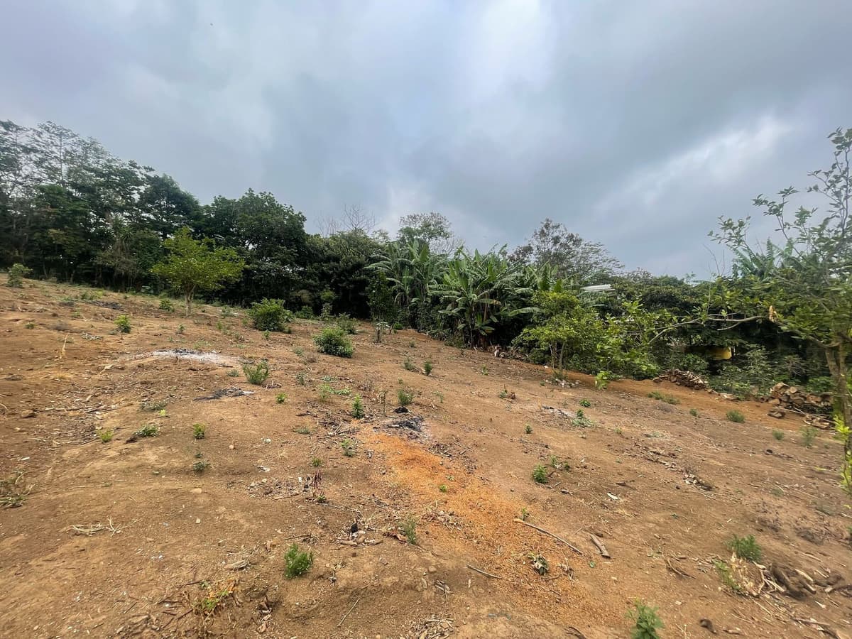 Terreno en venta en El Guamo Juayúa Sonsonate - foto 1