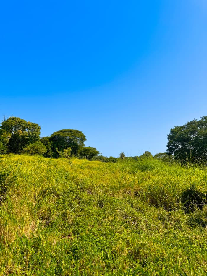 Terreno en venta en Zacatecoluca La Paz - foto 1