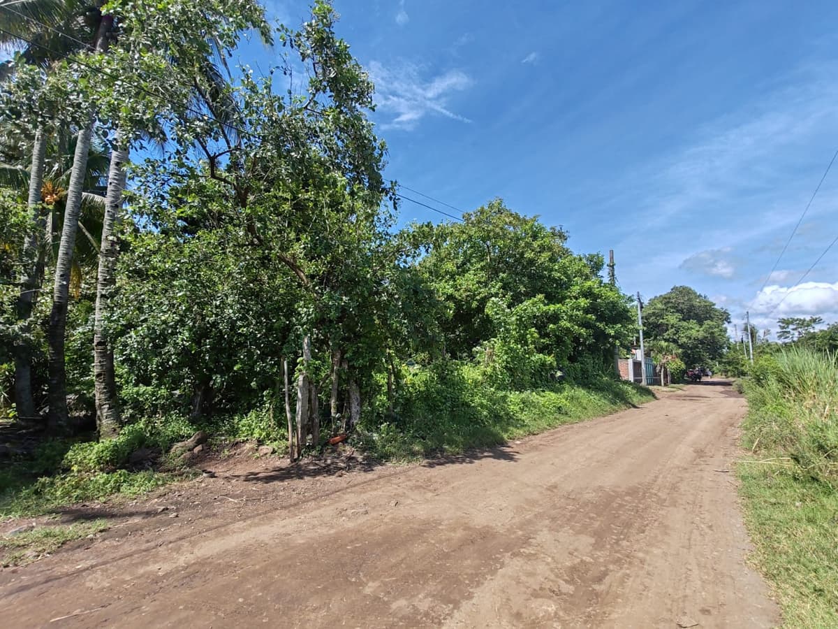 Terreno de oportunidad en venta Lotificación San Andres - foto 1