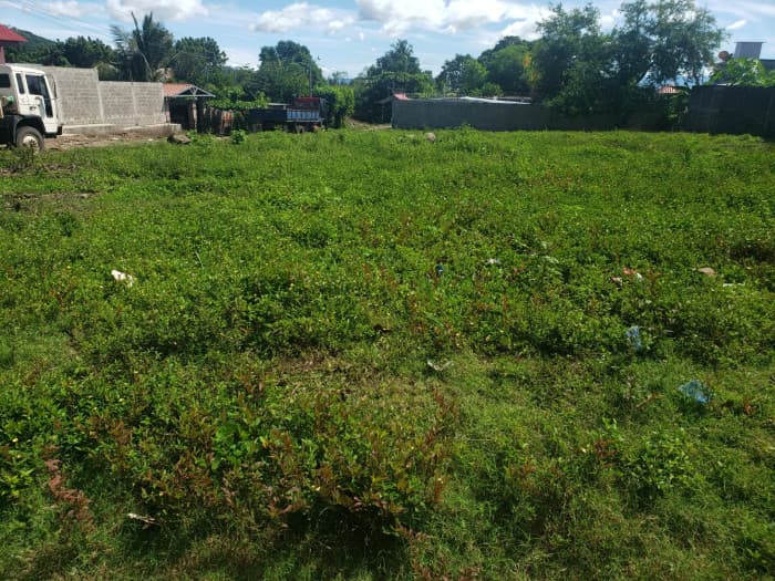 Terreno en venta en Parcelación Belén San Vicente - foto 1