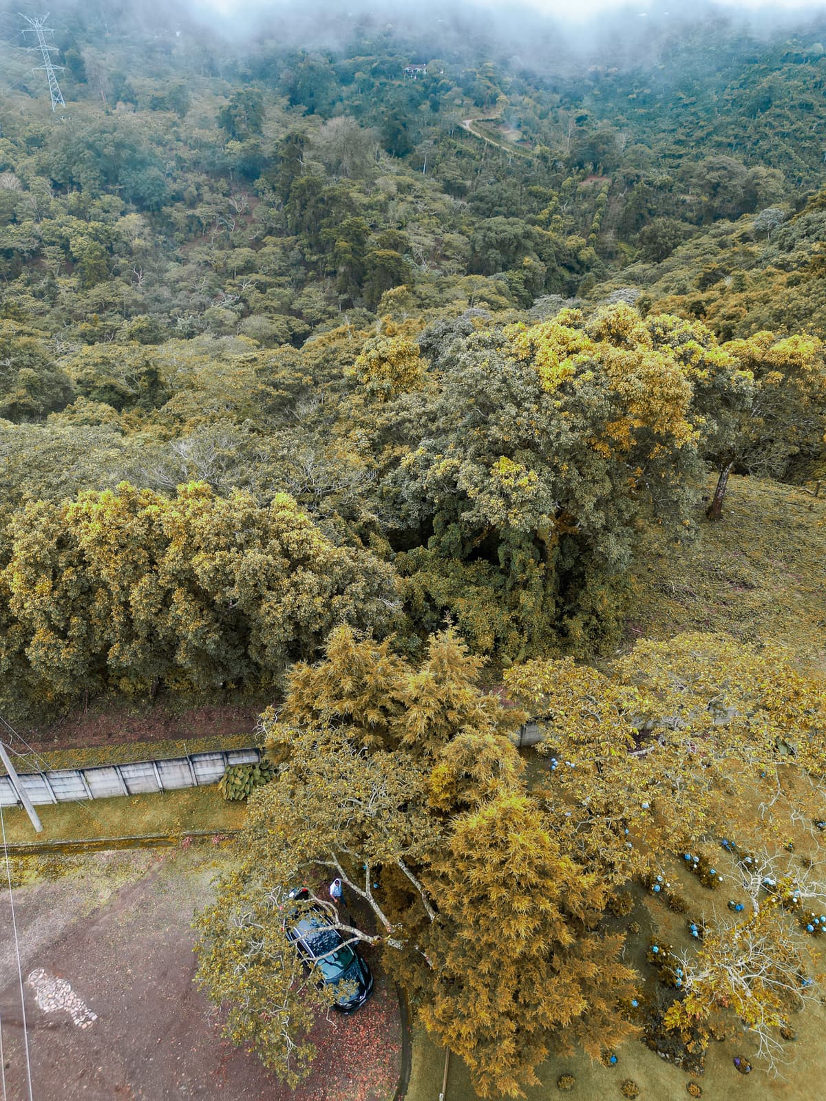 Terreno de oportunidad en Apaneca 5,000 varas - foto 1