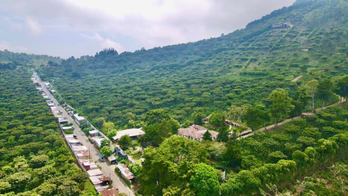 Finca cafetalera con potencial hotelero Los Naranjos - foto 1