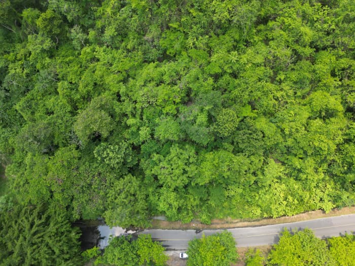 Vendo terreno para pedrera 8.49 Mz Santa Cruz Analquito - foto 4