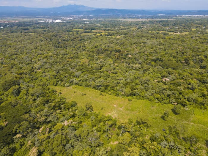 Terreno por Bosques de Lourdes en zona de crecimiento - foto 3