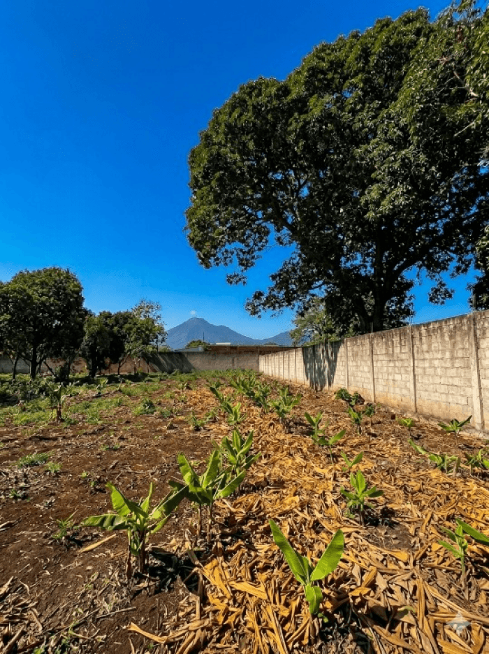 Venta lote de equina Urbanización El Bosque Ahuachapán - foto 4