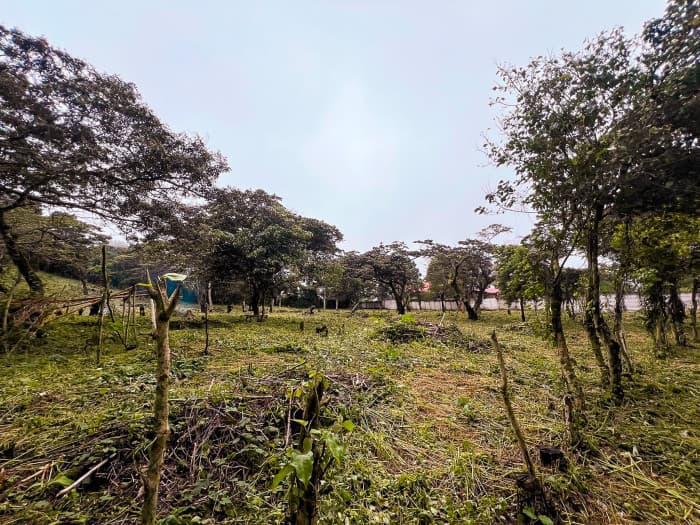 Terreno de oportunidad en Apaneca 5,000 varas - foto 3