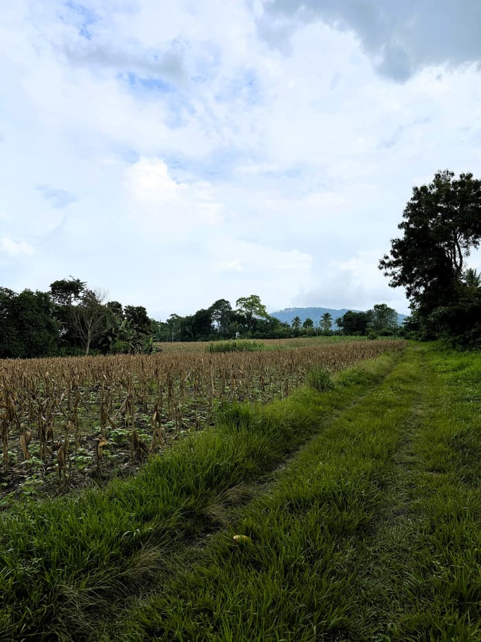 Finca en venta en Candelaria Cuscatlán - foto 3