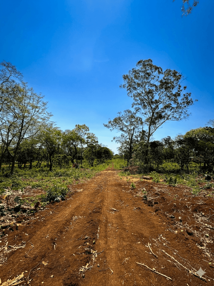 Venta lote de equina Urbanización El Bosque Ahuachapán - foto 2