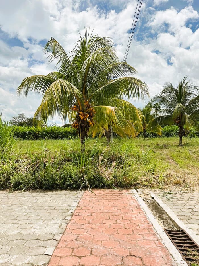 Terreno dentro de residencial privada Sonsonate - foto 2