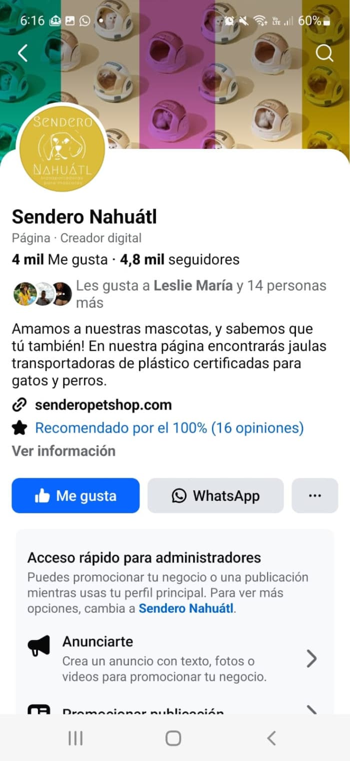 Vendo negocio de productos para mascota con inventario - foto 4