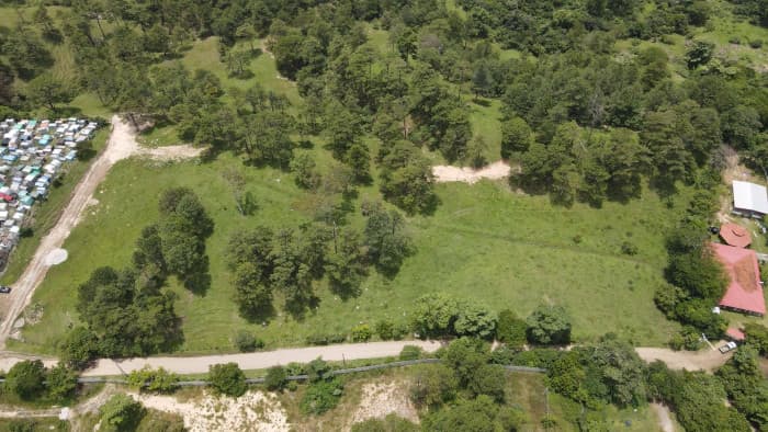 Venta de terreno residencial en La Palma - foto 3