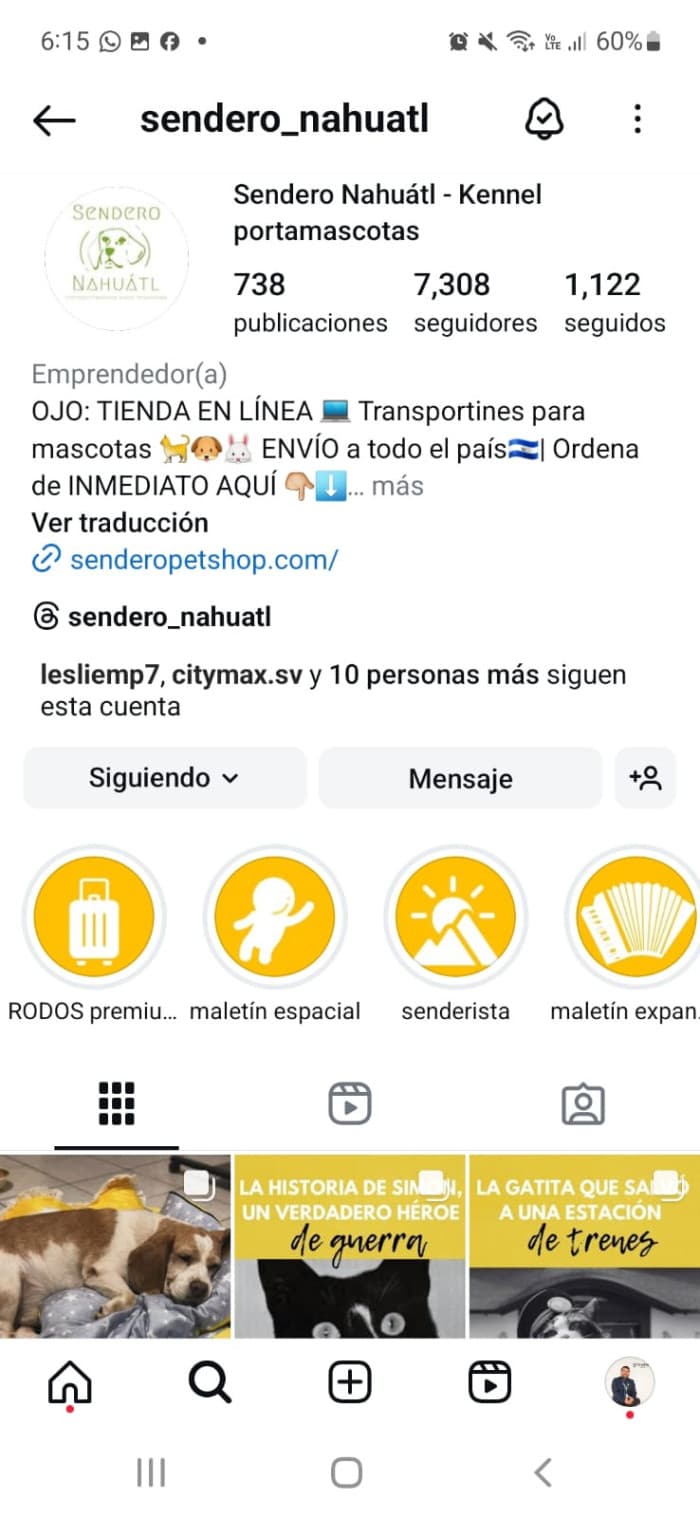 Vendo negocio de productos para mascota con inventario - foto 3