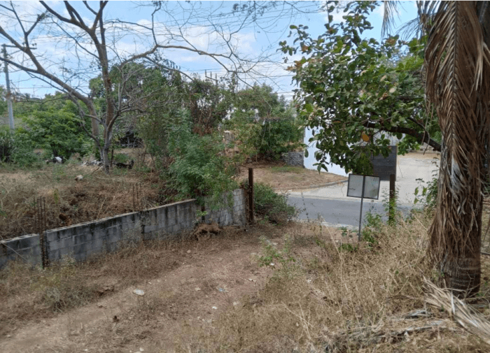Terreno comercial en calle Chaparrastique San Miguel  - foto 4