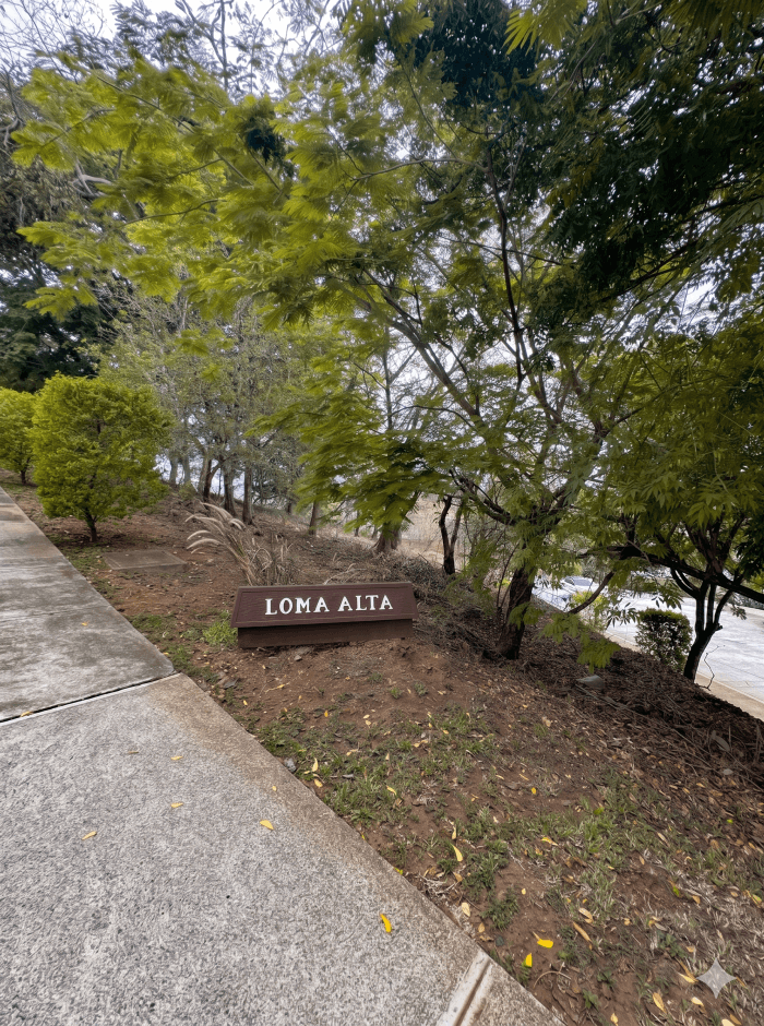 Terreno grande en Las Luces muy por debajo de avalúo  - foto 2