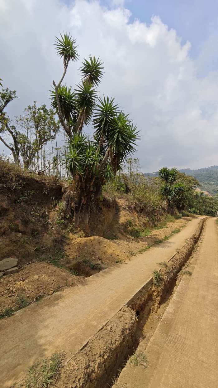 Terreno en venta La Cumbre Comasagua con vista al mar - foto 4