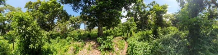 Vive a menos de 1km del Parque Arqueológico Tazumal  - foto 4