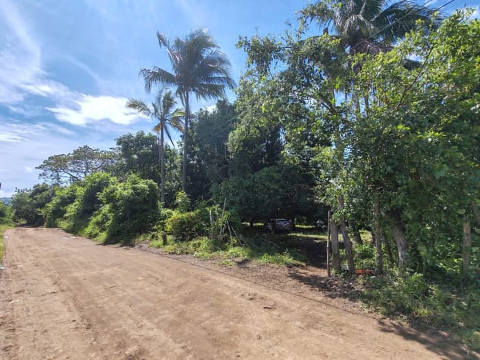 Terreno de oportunidad en venta Lotificación San Andres - foto 4