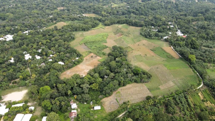 Finca en Venta en Candelaria Ideal para Desarrollo - foto 2