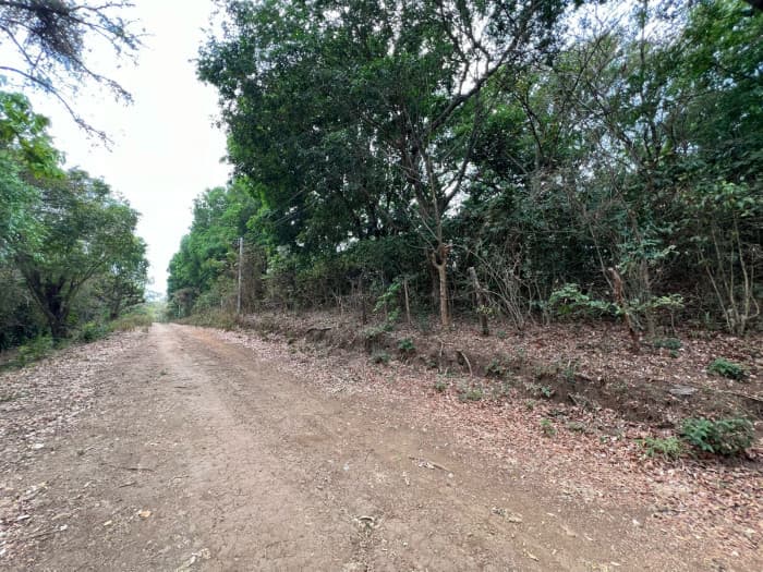 40 manzanas para desarrollo habitacional por El Encanto - foto 3