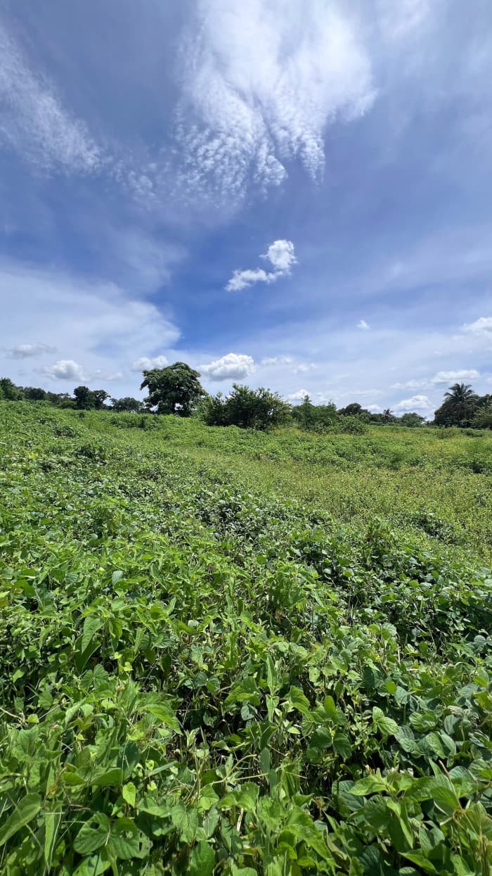 Derecho en venta de lote en Altos de Las Mercedes - foto 4