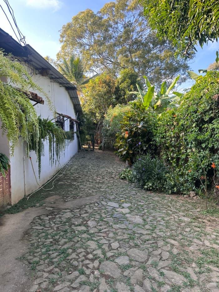 Finca de 2 manzanas en Jayaque - foto 3