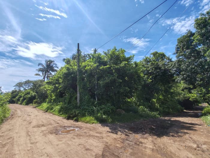 Terreno de oportunidad en venta Lotificación San Andres - foto 3