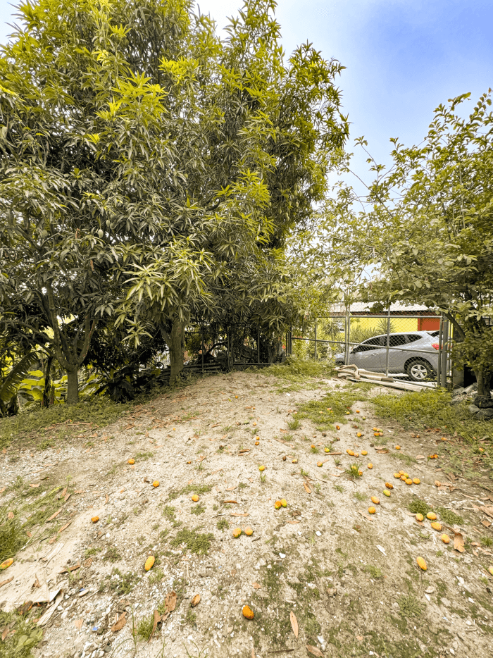 Terreno en venta en Apulo Ilopango a 3 minutos del lago - foto 2