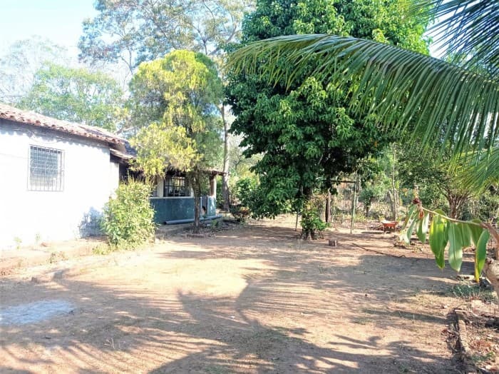 Vendo terreno agrícola de 3,265 varas en Ciudad Arce - foto 4