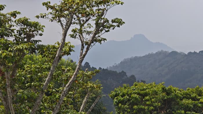 Terreno en venta La Cumbre Comasagua con vista al mar - foto 3