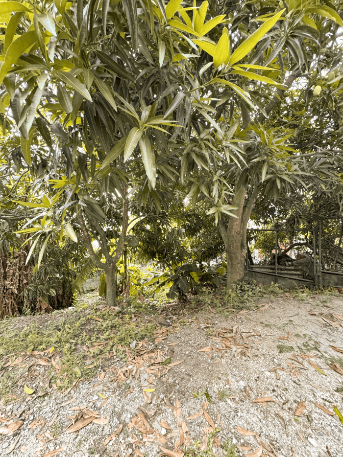 Terreno en venta en Apulo Ilopango a 3 minutos del lago - foto 3