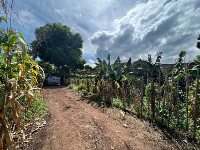 Vendo terreno en Colonia Los Claveles Ahuachapán  - foto 2
