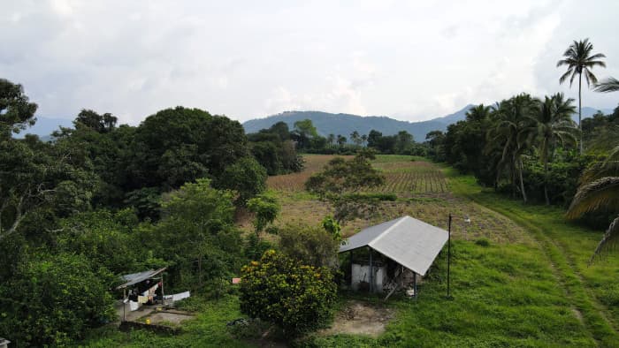 Finca en Venta en Candelaria Ideal para Desarrollo - foto 4