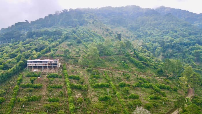 Finca cafetalera con potencial hotelero Los Naranjos - foto 4