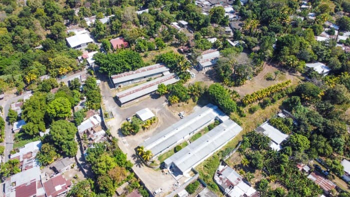 Propiedad industrial con Bodegas en Lourdes Colón - foto 3