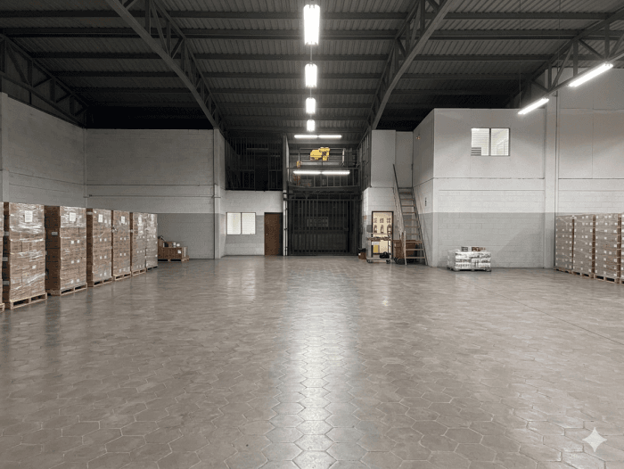 Bodega en Plan de la Laguna 8100 metros y 5 muelles - foto 4