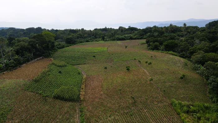 Finca en venta en Candelaria Cuscatlán - foto 4