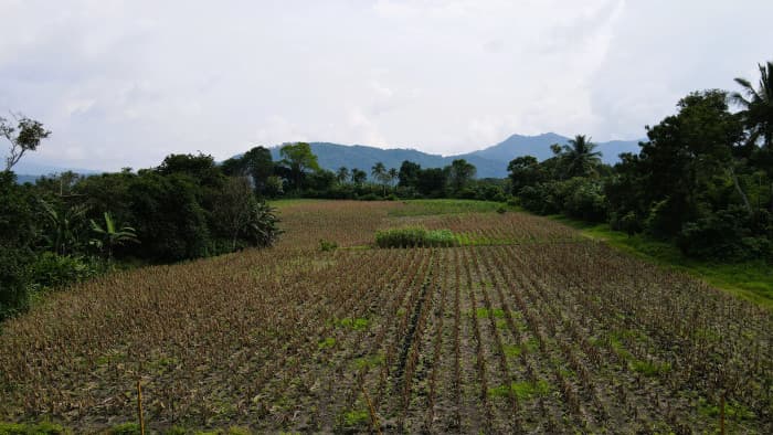 Finca en venta en Candelaria Cuscatlán - foto 2