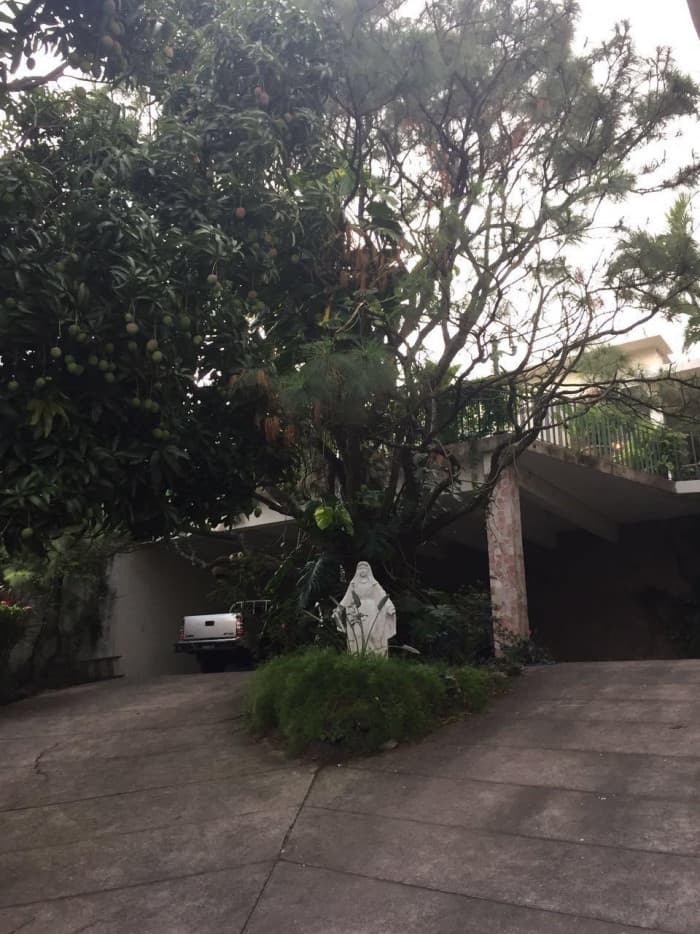 Amplia propiedad comercial en venta en Colonia Escalón - foto 2