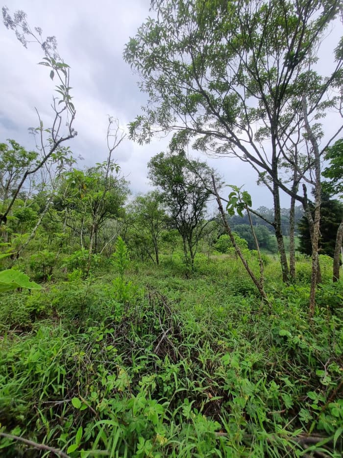 Compra tu terreno en Guate en Residencial Casa y Campo  - foto 2