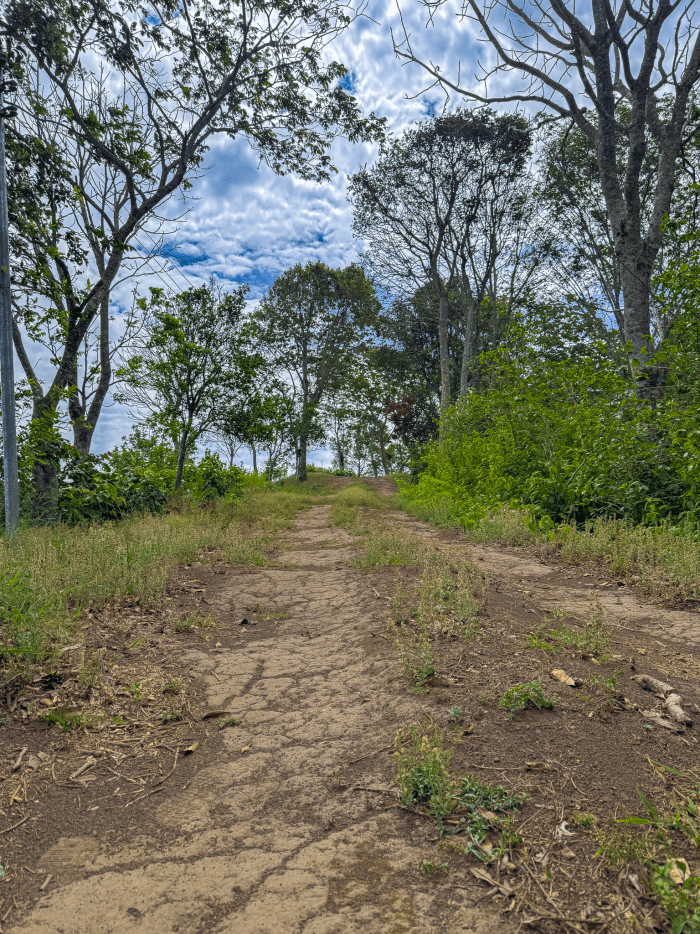 Terreno de una manzana en Comasagua espectacular vista - foto 4