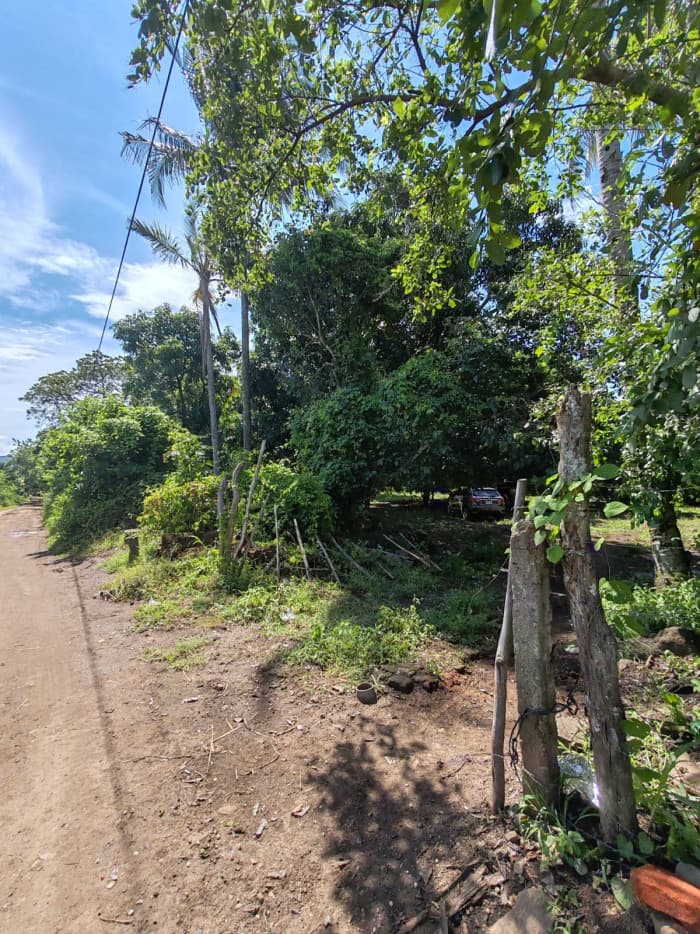Oportunidad venta de terreno de esquina en Ciudad Arce - foto 3